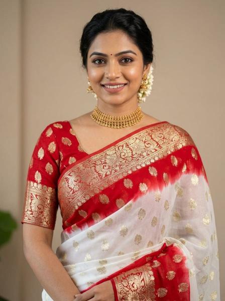 Astitva dn-anushka-2d wholesale saree dresses
